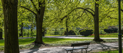 Park Villa Ada