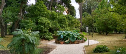 Botanische Tuin Rome