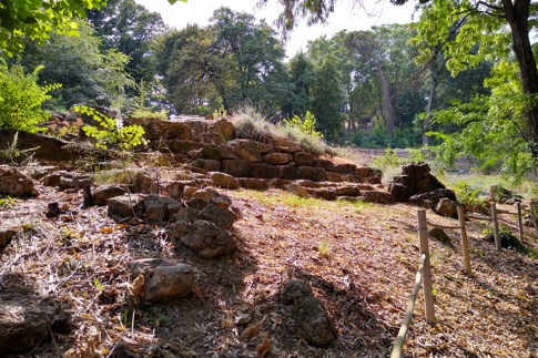 botanic garden 2