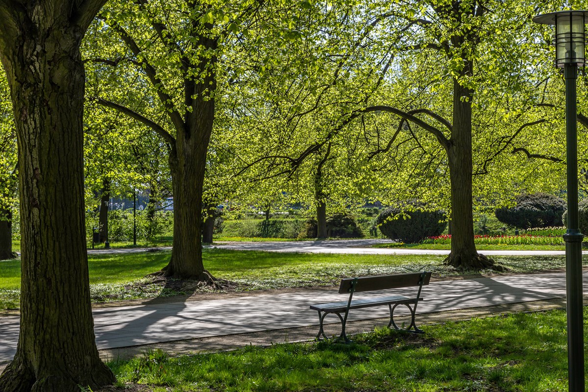 Park Villa Ada
