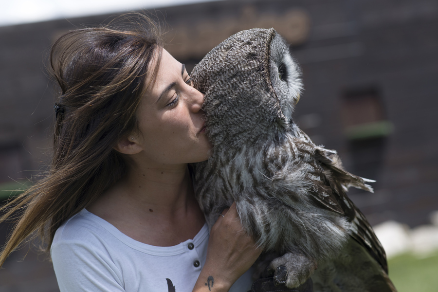 Zoomarine Owl