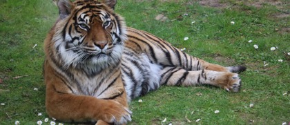 Bioparco Dierentuin Rome
