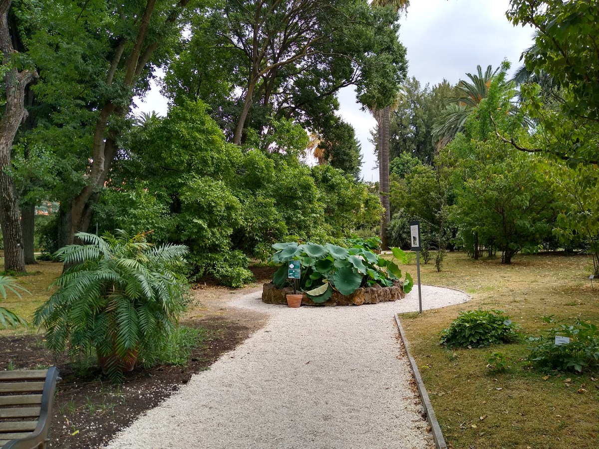 Botanische tuin Rome