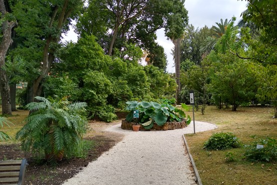 botanische tuin