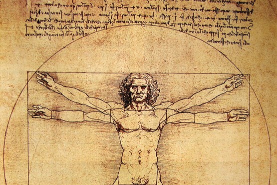 Vitruvius Man