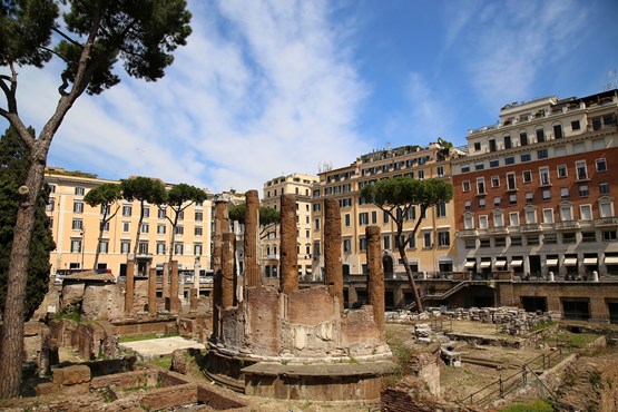 Largo Di Torre Argentina